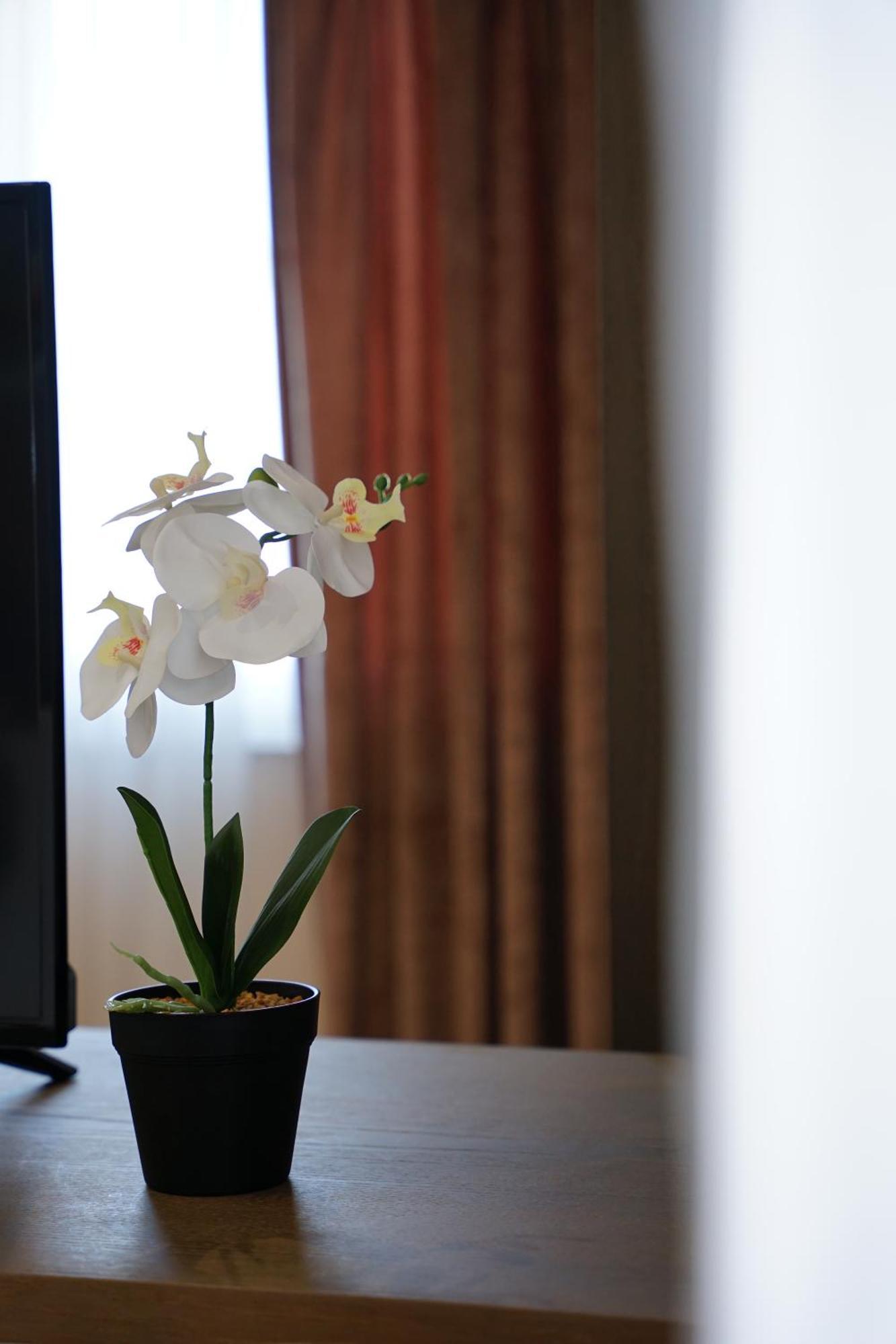 Doanesia Premium Hotel & Spa ティラナ エクステリア 写真